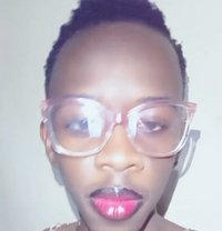 Jojo - Transsexual escort in Nairobi