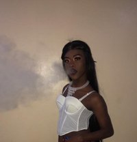 Jojo - Transsexual escort in Nairobi
