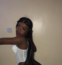 Jojo - Transsexual escort in Nairobi
