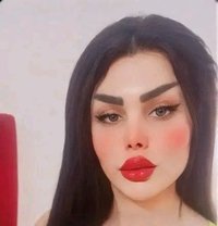 Jojo - Acompañantes transexual in Damascus