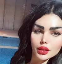 Jojo - Transsexual escort in Damascus