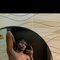 Joli - Male escort in Lagos, Nigeria