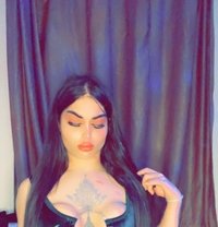 ديفا جودي شيميل - Transsexual escort in Erbil