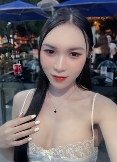 Jolieladyby(vietnam) - Transsexual escort in Ho Chi Minh City Photo 4 of 5