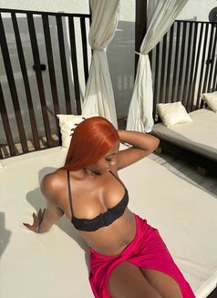 Jolly New Arrival in Bangkok - escort in Bangkok Photo 1 of 4