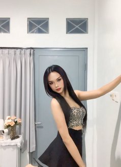 Jollyn Valery - Transsexual escort in Bali Photo 6 of 9