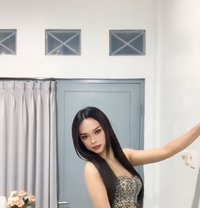 Jollyn Valery - Acompañantes transexual in Bali