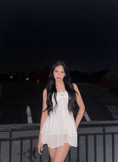 Jollyn Valery - Transsexual escort in Bali Photo 6 of 7