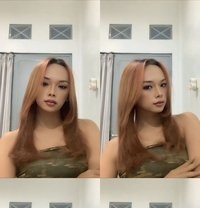 Jollyn Valery - Acompañantes transexual in Bali
