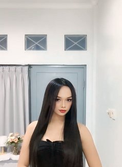 Jollyn Valery - Transsexual escort in Bali Photo 1 of 10