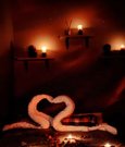 Ayaz&Meryem - Male escort in Riyadh Photo 1 of 3