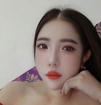 Jose - escort in Pattaya Photo 1 of 10