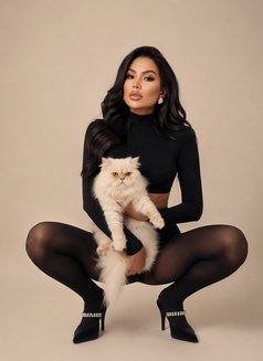 Josephine New in Dubai - escort in Dubai Photo 3 of 3
