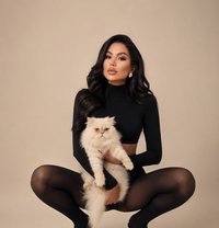 Josephine New in Dubai - escort in Dubai