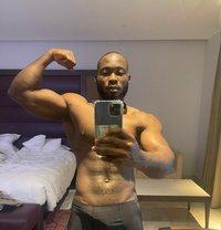 Josh - Male escort in Doha