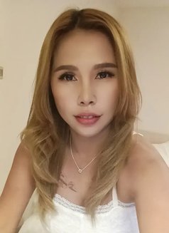 Josy🇹🇭นมใหญ่เป็นธรรมชาติพร้อมพบคุณแล - escort in Yokosuka Photo 7 of 14
