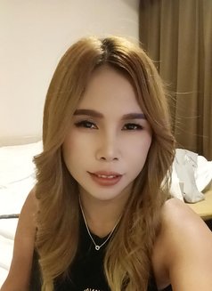 Josy🇹🇭นมใหญ่เป็นธรรมชาติพร้อมพบคุณแล - escort in Yokosuka Photo 12 of 14