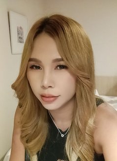 Josy🇹🇭นมใหญ่เป็นธรรมชาติพร้อมพบคุณแล - escort in Yokosuka Photo 13 of 14