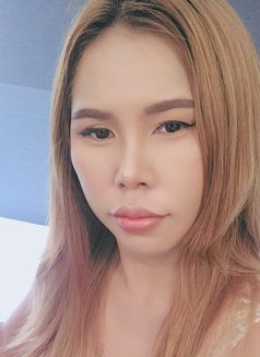 Josy🇹🇭นมใหญ่เป็นธรรมชาติพร้อมพบคุณแล - escort in Yokosuka Photo 14 of 14