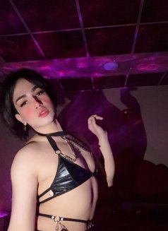 Joud - Acompañantes transexual in Erbil Photo 2 of 5