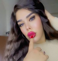 Jounella - Acompañantes transexual in Beirut