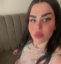 صولا - Acompañantes transexual in Erbil