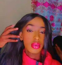 Jovi - Acompañantes transexual in Nairobi