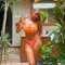 Joy - escort in Ahmedabad
