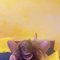 3some with lesbian experience & Anal - puta in Chennai Photo 4 of 5