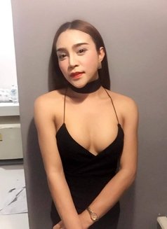 Jozy (Independent LB ) Chiang Rai - Transsexual escort in Chiang Rai Photo 3 of 6