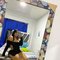 Juddty - escort in Khobar