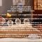 🥇veronica best Massage - masseuse in Al Manama Photo 3 of 13
