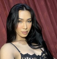 Judy - Acompañantes transexual in Phuket