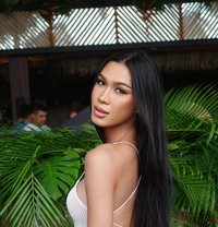 Judy - Acompañantes transexual in Phuket Photo 16 of 16