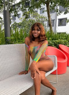 Juicy Kiara - escort in Kuala Lumpur Photo 7 of 7