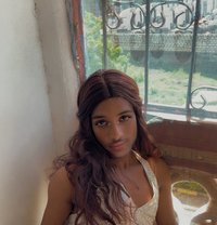 Juicy Lips - Transsexual escort in Mombasa