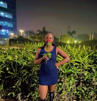 Juicy Lisa Mimo - escort in Shimla