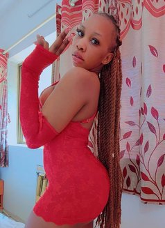 JUICY PAMERA ARRIVED IN AHMEDABAD - escort in Ahmedabad Photo 12 of 13