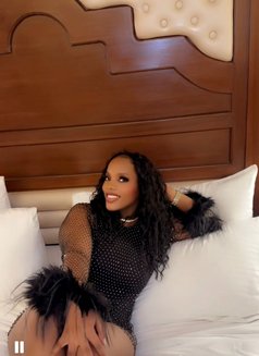 Juicy Pussy African Ashley 962//130/6351 - escort in Chandigarh Photo 10 of 10