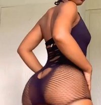 Bouncy Chocolate Ass Aisha Melon Boobs - escort in Tabuk Photo 6 of 7