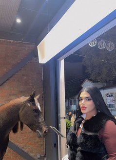 Julia Juliette - Transsexual escort in Tunis Photo 15 of 26