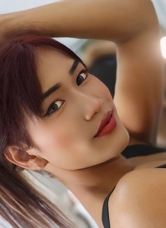 JULIA Lady Boy Fuck Hard - Transsexual escort in Muscat Photo 8 of 27