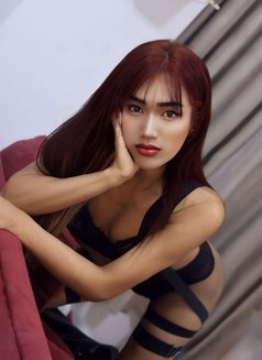 JULIA Lady Boy Fuck Hard - Transsexual escort in Muscat Photo 9 of 27