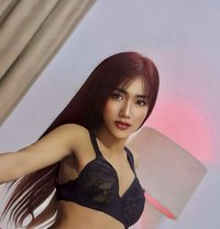 JULIA Lady Boy Fuck Hard - Acompañantes transexual in Muscat Photo 1 of 28