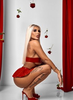 Julia - escort in Jeddah Photo 11 of 19