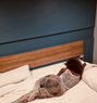 Julia - escort in Pattaya Photo 1 of 8