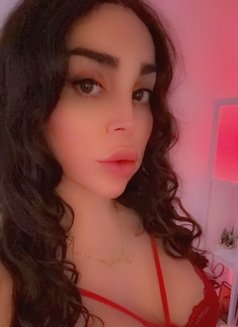 Julia شيميل عربية زيارة - Transsexual escort in Beirut Photo 3 of 12