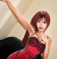 Julia xoxo ST Lady Boy Model.🦊🦦 - Acompañantes transexual in Muscat