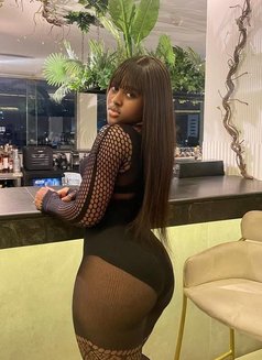 Julian - escort in Noida Photo 1 of 5