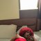 Julian - escort in Ahmedabad